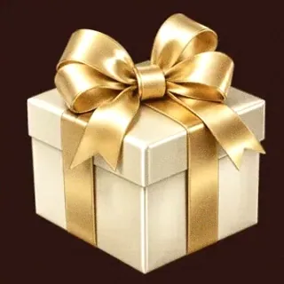 Luxury gift box — Slota