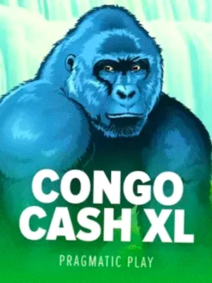 Congo Cash XL at Slota