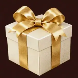 Wrapped gift box — Slota